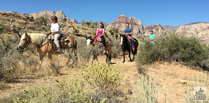 A picture of the Canyon Rim Ride taken from the wash while Horseback Riding in Las Vegas at Cowboy Trail Rides in Red Rock Canyon