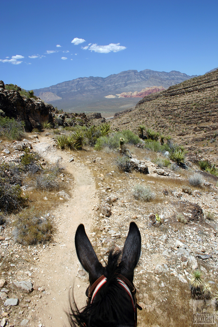 The view of Calico Hills through mule ears while Horseback Riding in Las Vegas at Cowboy Trail Rides in Red Rock Canyon