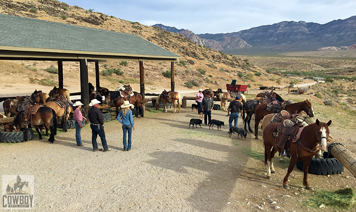 Last minute check before Horseback Riding in Las Vegas at Cowboy Trail Rides in Red Rock Canyon