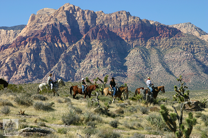 Riders on the Rim Ride pass in front of the Wilson Cliffs while Horseback Riding in Las Vegas at Cowboy Trail Rides in Red Rock Canyon