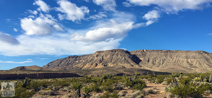 A few of Blue Diamond Ridge where the WOW ride goes when Horseback Riding in Las Vegas at Cowboy Trail Rides in Red Rock Canyon