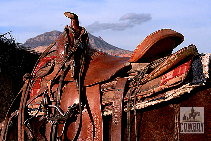 Cowboy Trail Rides - Picture of a saddle