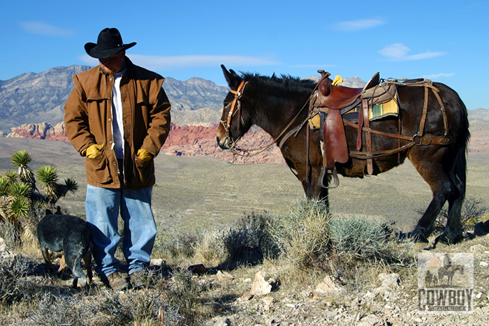 Cowboy Trail Rides - Buck Sage, Tuffy the dog, and Millie the mule on the WOW ride