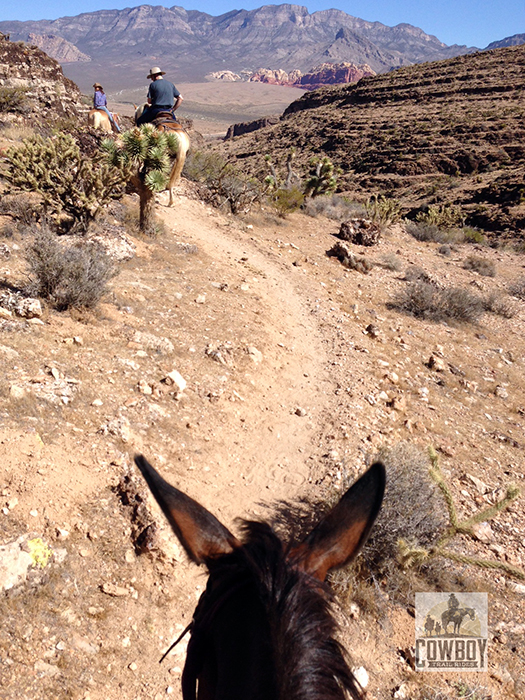 Cowboy Trail Rides - View of Canyon Rim Ride from Guest Stephanie