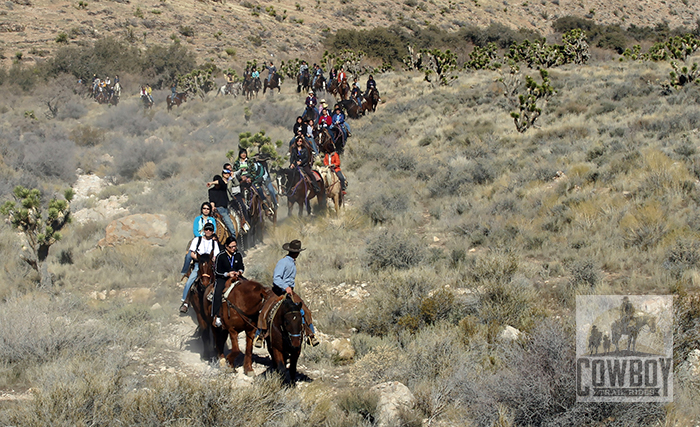 Cowboy Trail Rides - Large group of riders coming in from a ride