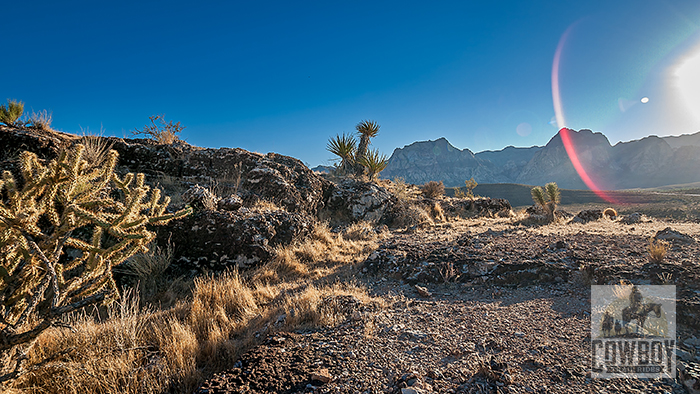 Cowboy Trail Rides - Image of the Cactus Garden on the Rim trail with a lens flare