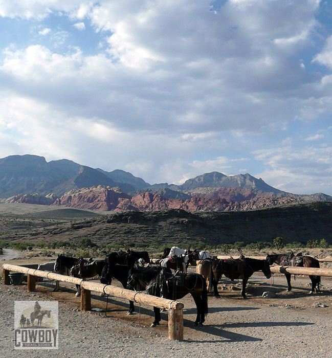 Cowboy Trail Rides - Staging area
