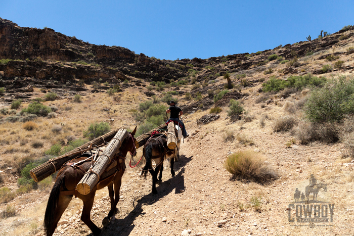 Cowboy Trail Rides - Packing in logs