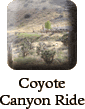 Coyote Canyon Ride